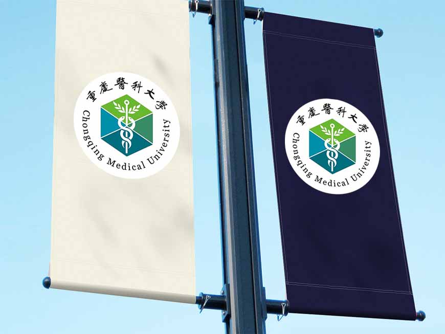 重慶醫科大學?；盏娜〉牢魇斤L格之路-2